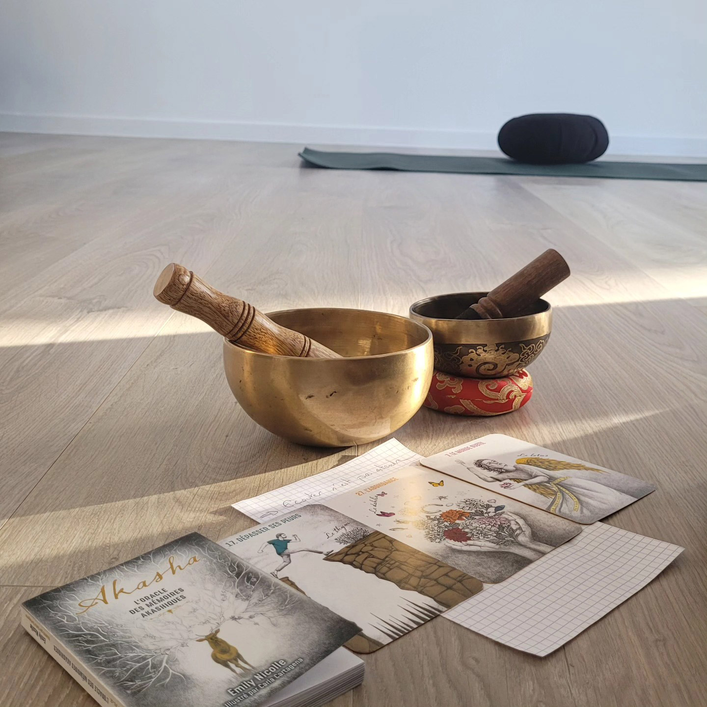 Séance de magnétisme ciblée Séance de magnétisme ciblée